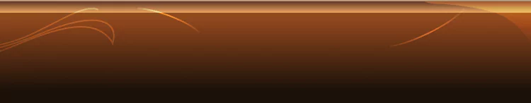 background category section